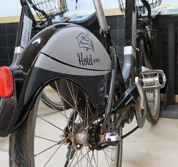 Electric Bike Experience Gift