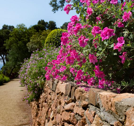 Cap Roig Botanical Garden